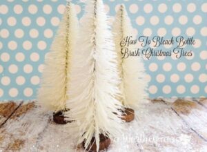 How To Bleach Bottle Brush Christmas Trees