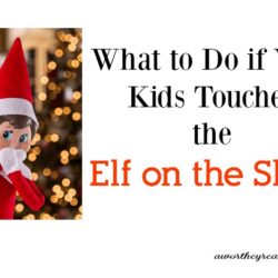 What to Do if Your Kids Touches the Elf on the Shelf