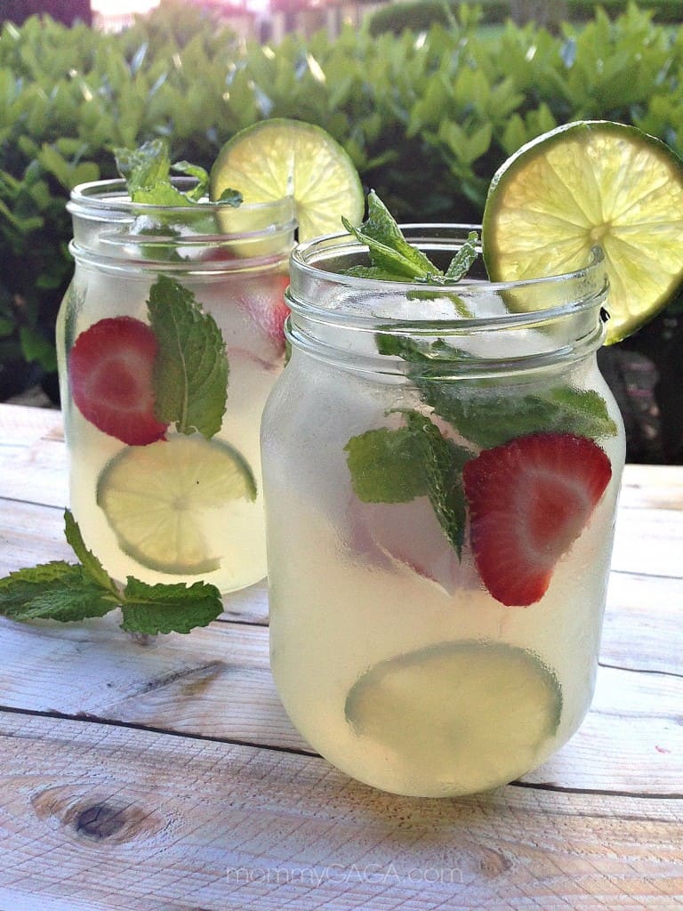 https://www.awortheyread.com/wp-content/uploads/2017/08/Stoli-Vodka-Mint-Lemonade-Summer-Drinks-768x1024.jpg
