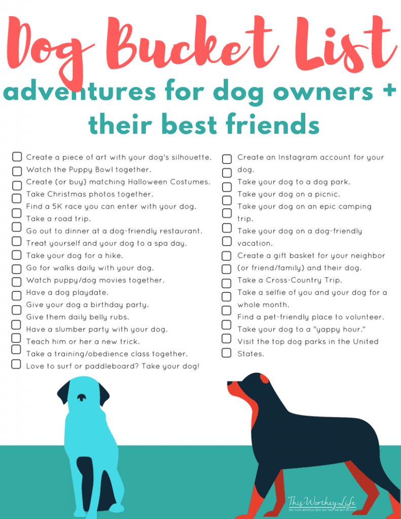 Dog Bucket List: 57 Fun Things to Do & Happy Activities