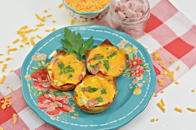 30+ Quick & Easy Recipes For Omelet Bites | Breakfast On The Go