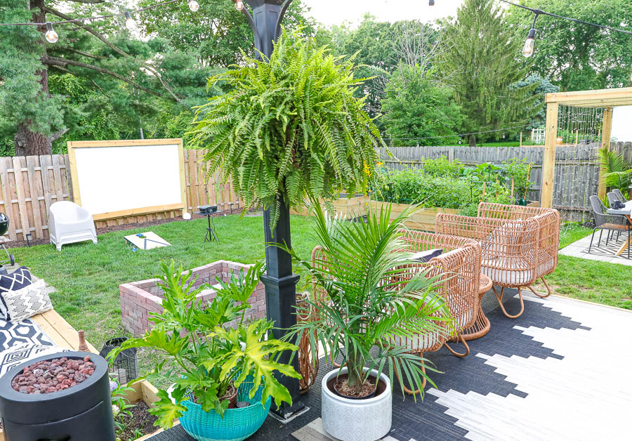 best patio plants