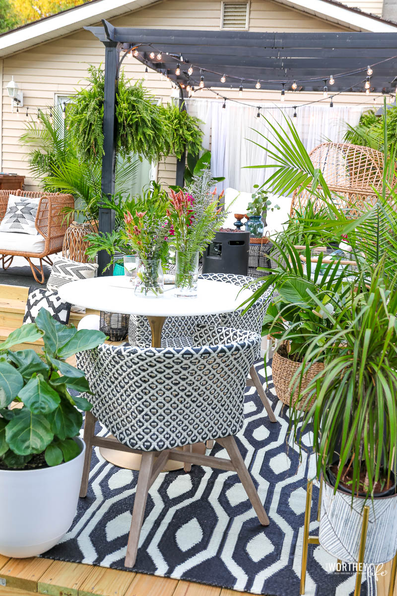 Tips + Best Outdoor Plants For Patio + Outdoor Living