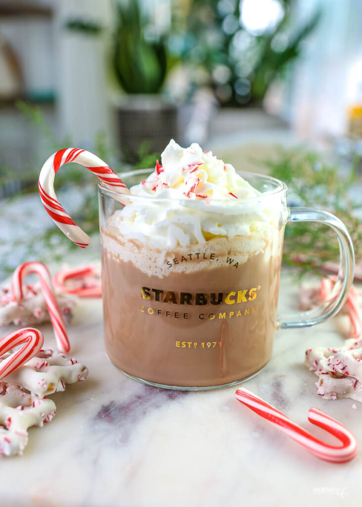 https://www.awortheyread.com/wp-content/uploads/2020/11/Copycat-Starbucks-Peppermint-Mocha-%C2%ADRecipe-2-732x1024.jpg