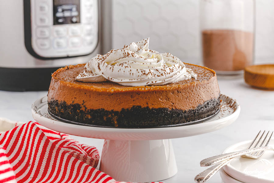 https://www.awortheyread.com/wp-content/uploads/2021/11/instant-pot-hot-chocolate-cheesecake-12.jpg