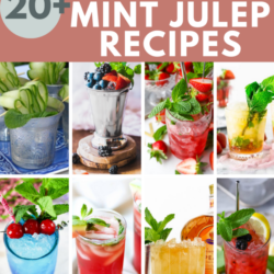 20+ mint julep recipes