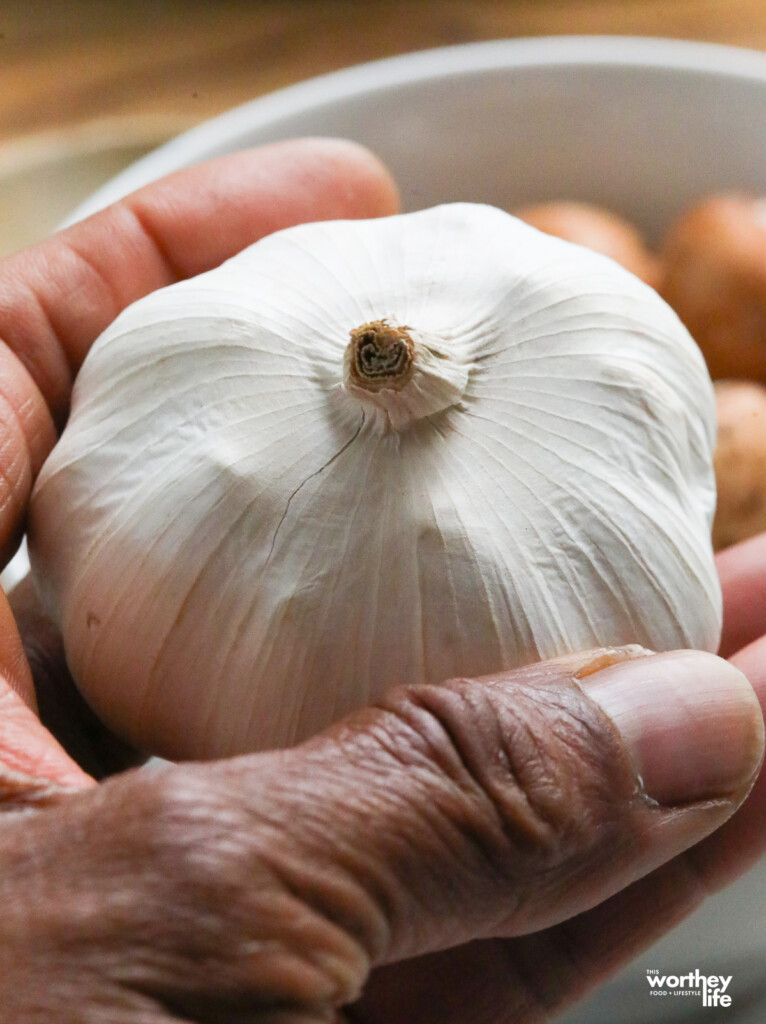 A hand holding a bulb of garlic. 