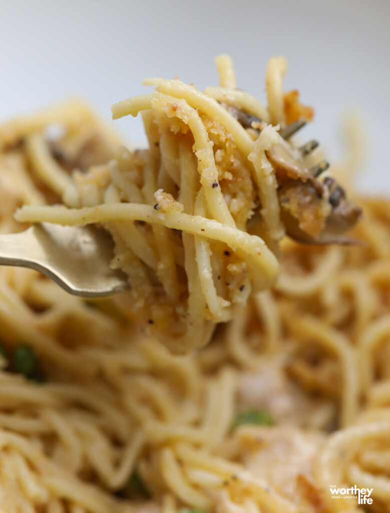 spaghetti pasta wrapped around a fork