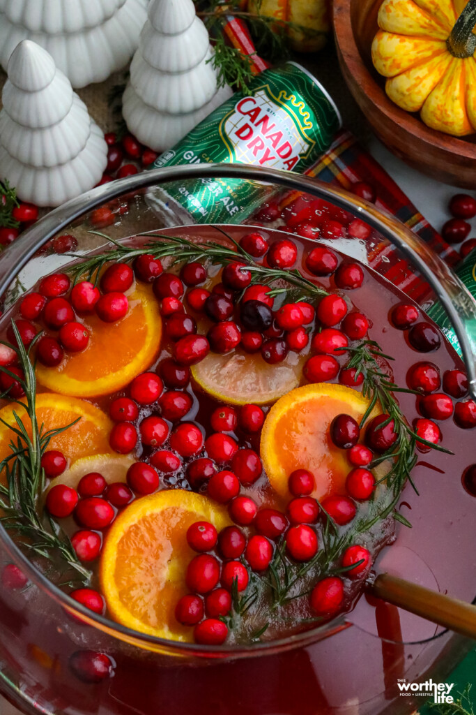 Spiced Cranberry Ginger Ale Punch